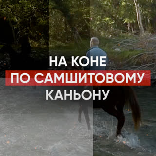 На коне по самшитовому каньону