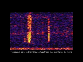 The Bloop_ A Mysterious Sound from the Deep Ocean _ NOAA SOSUS