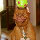 Фотография Олейника Андрея