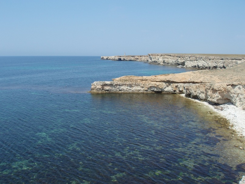 Дмитрий Тх фотография #21