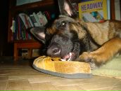 Фотография Собакиной Вари