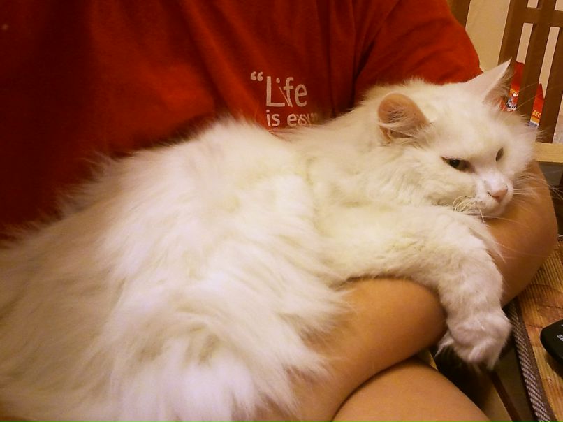 Яна Добробаба фотография #27