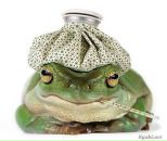 Фотография Виноградова Анастасия