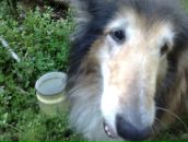 Фотография Дворниковой Екатерины