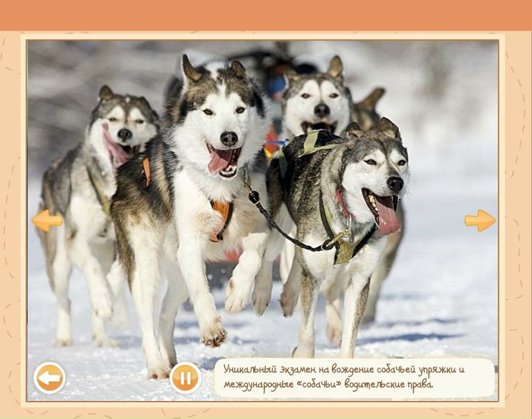 ***софья *** фото №7