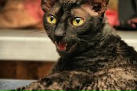 Фотография Герыч Лены