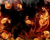 Фотография Паликовской Надежды