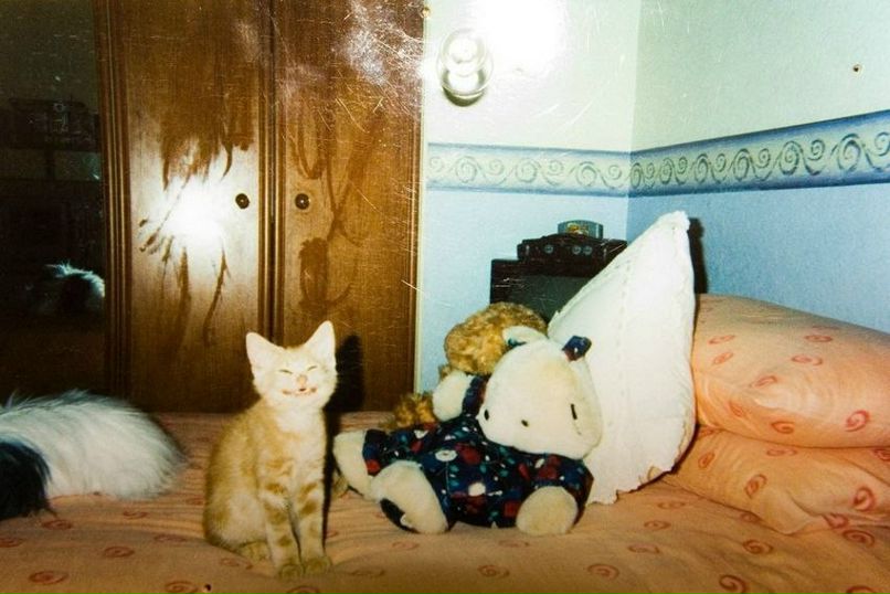 Luke Skywalker фотография #42