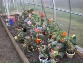 Фотография Измайловой Тины