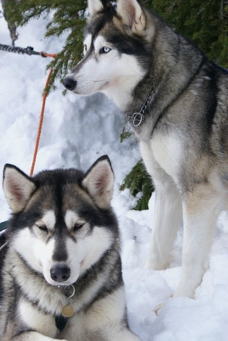 Олег Д фотография #31