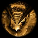 Фотография Зелинского Алексея