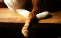 Фотография Цыгановой Ксюши