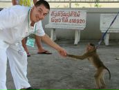 Фотография Паламаренко Игоря