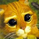 Фотография Росы Росы