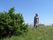 Фотография Аморетти Джулии