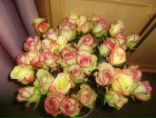 Фотография Тюкановой Оксаны