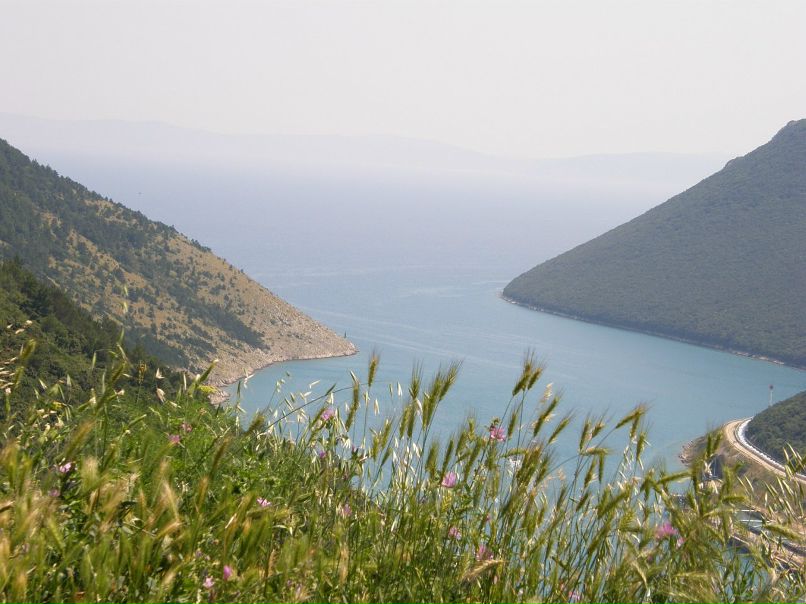 Ксения Черных фотография #19