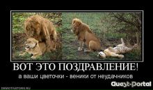 Илья Дербин фотография #10 (источник - https://vk.com/id521537)