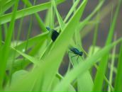 Арина Юрьевна фотография #24 (источник - https://vk.com/id52568)