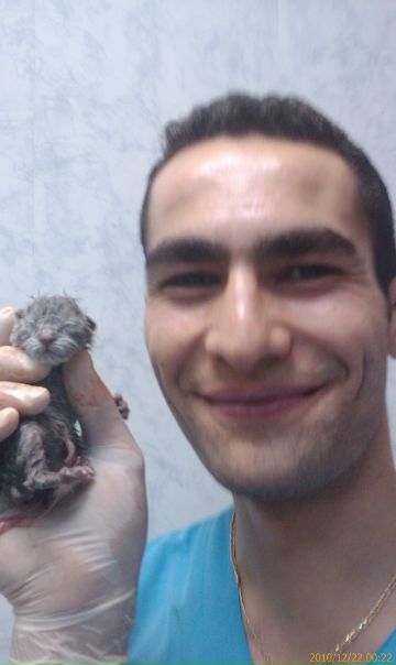 Atalla Deeb фото №19