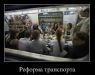  фотография #3