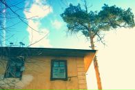 Фотография Бурцева Владимира