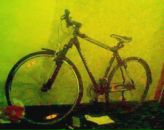 Фотография Логинова Сергея