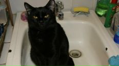 Фотография Павловны Надежды