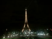 Фотография Видякова Даниила