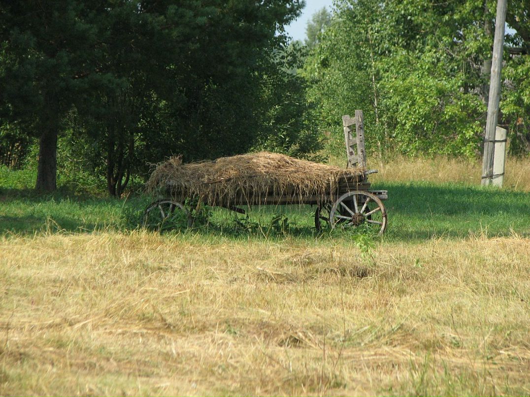 Иван Зыков фотография #16