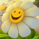 Фотография Паникаровой Елены