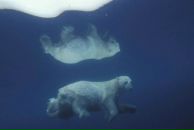 Фотография Вдовина Михаила