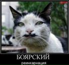 Фотография Андриенко Николая