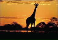 Фотография Красулина Сергея