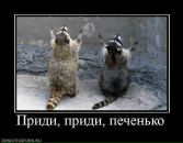 Фотография Матюшечкиной Екатерины