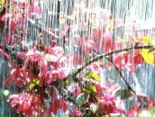 Фотография Романцова Никиты