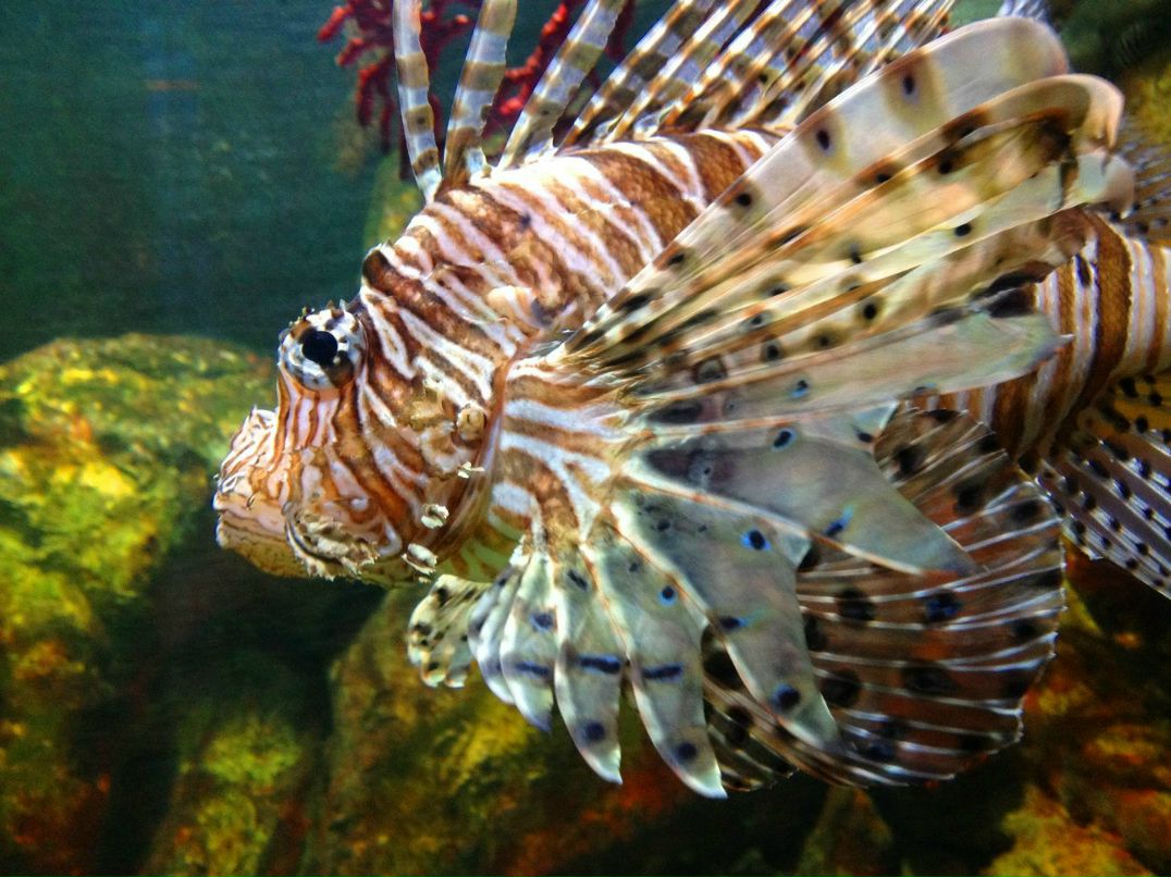 Слава Щербаков фотография #15