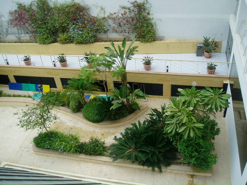 Елена Бажгина фотография #18