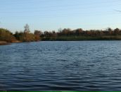 Рю Мураками фотография #15 (источник - https://vk.com/id2067589)