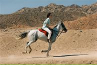 Фотография Строгановой Катерины