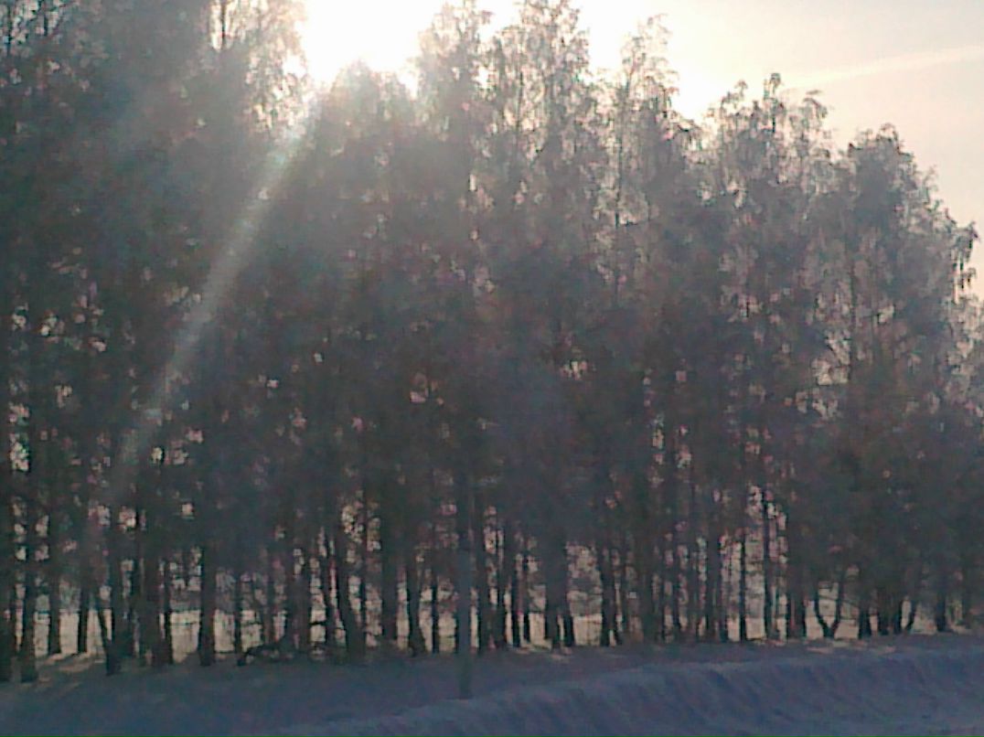 Иван Будин фотография #23