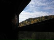 Алия Редькина фотография #5 (источник - https://vk.com/id2309130)