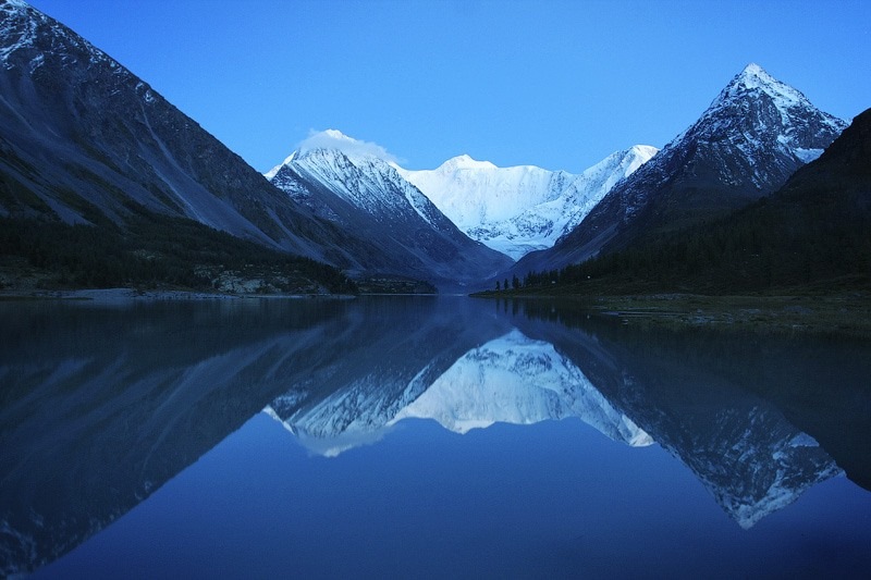 Willy Wolf фотография #38