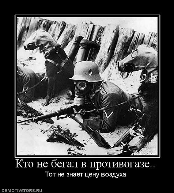 Антон Абанин фотография #43