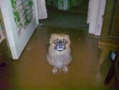 Фотография Гоголина Павла