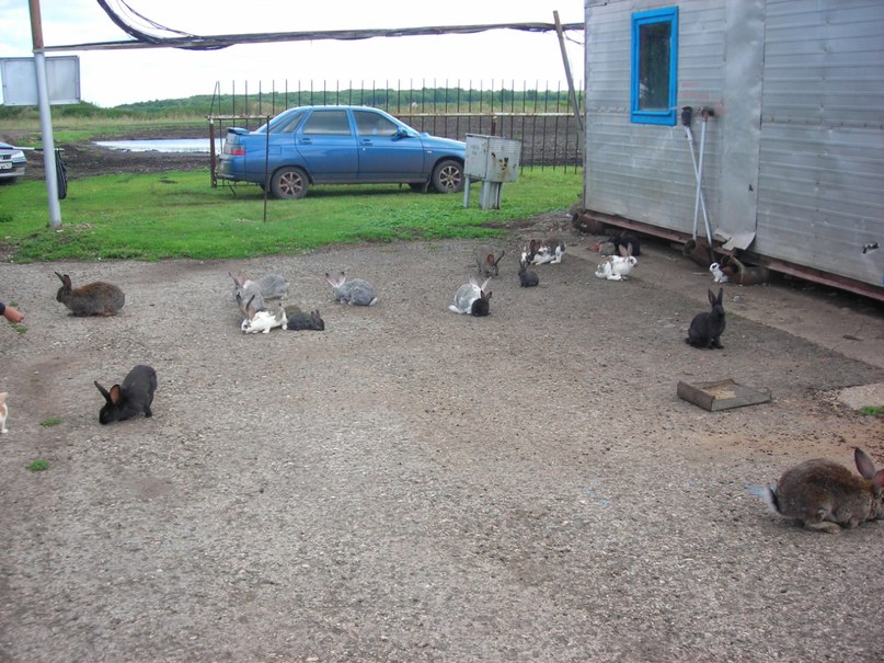 Александр Соловьев фотография #13