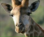 Фотография Филатовой Татьяны