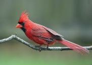 Фотография Грошева Павла