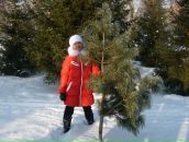 Фотография Гамбург Надежды