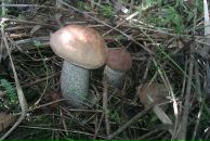 Сергей Степанян фотография #35 (источник - https://vk.com/id3771185)